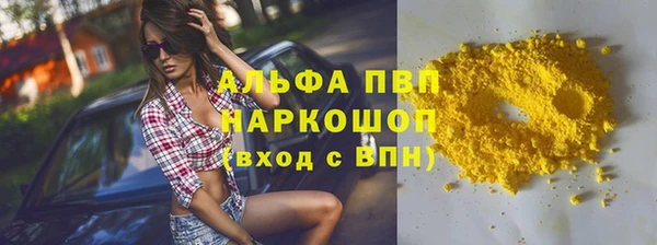 индика Балахна