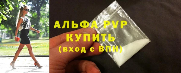 индика Балахна