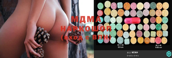 индика Балахна
