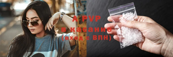 индика Балахна