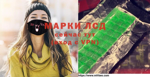 индика Балахна