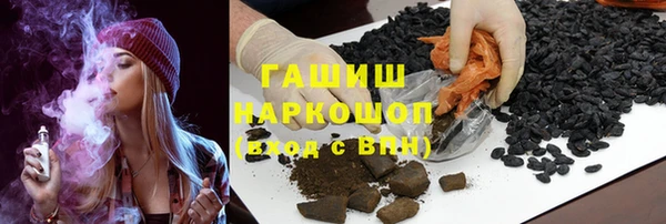 индика Балахна